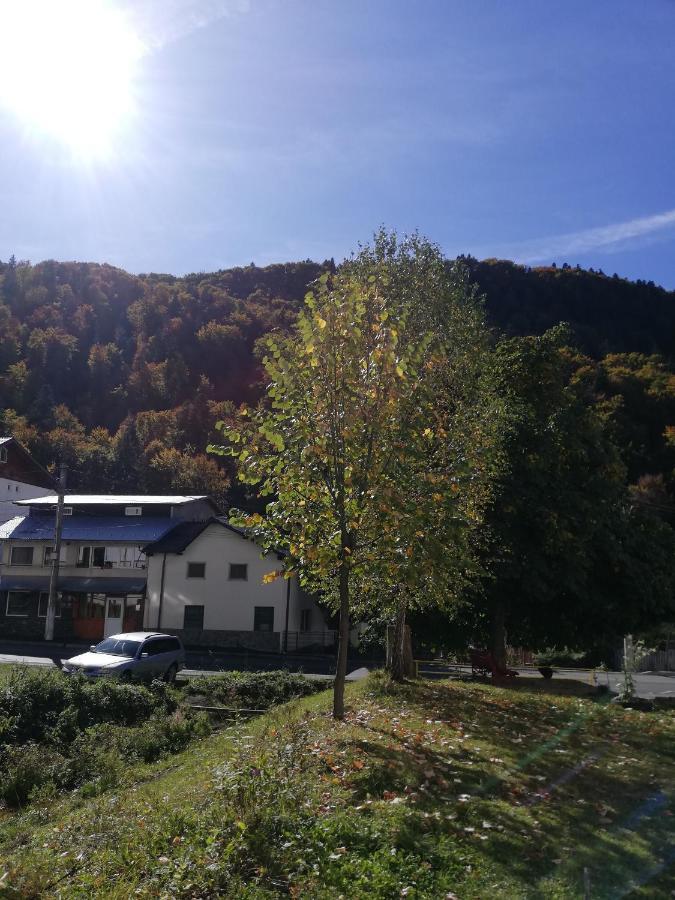 Apartament Langa Castan Daire Azuga Dış mekan fotoğraf