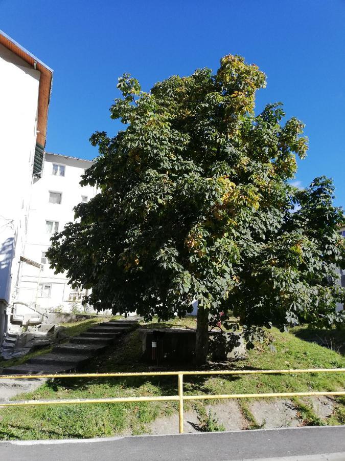 Apartament Langa Castan Daire Azuga Dış mekan fotoğraf