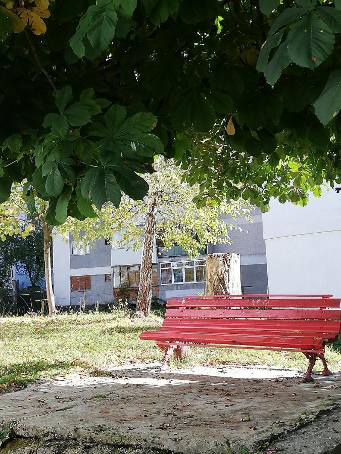 Apartament Langa Castan Daire Azuga Dış mekan fotoğraf